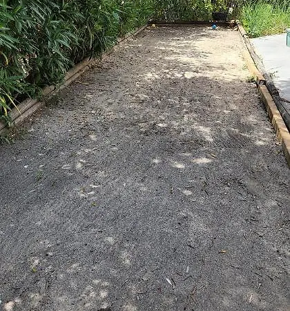 Privees Dans Des Lauriers *